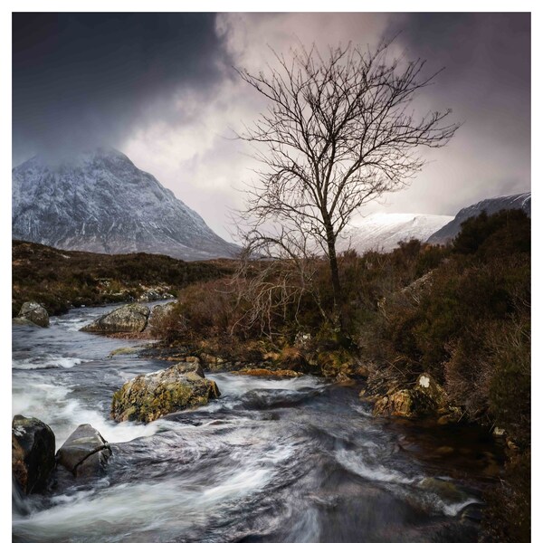 Lone Tree Glencoe