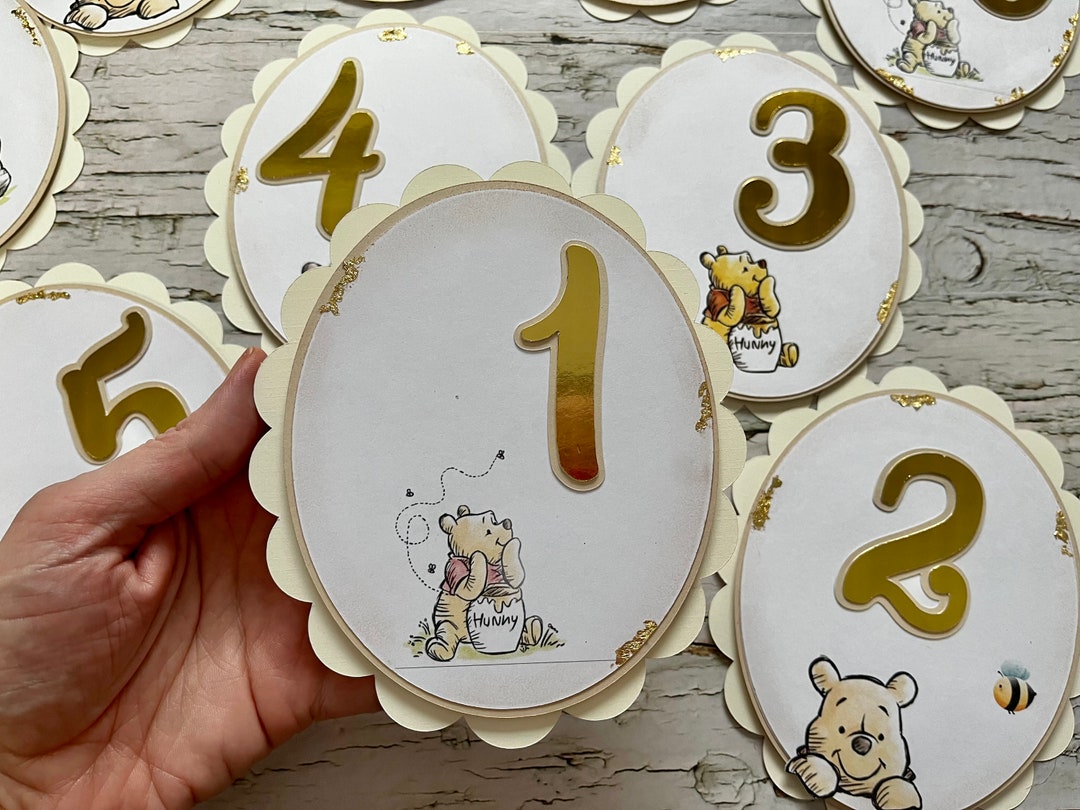 Winnie the Pooh Milestone Cards, Props for Baby Photoshoots, New Baby ...