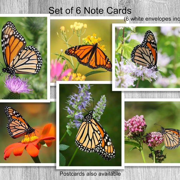 Monarch Butterfly Note Card Set B2 | monarch butterfly photo | birthday gift | teacher gift | Mother’s Day gift | thank you card