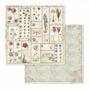 Feuille recto-verso pour scrapbooking Stamperia - Herbier botanique printanier