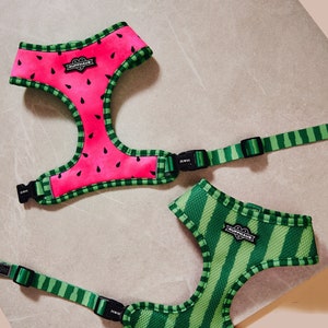 Wassermelone Hundegeschirr | Cosmo Best Pet Harness Winner | Reversibel Sommer Haustier Weste | No Pull XS-XL Halloween Welpen Kostüm