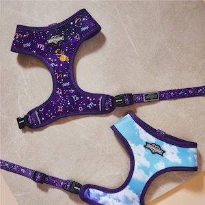 Astros Dog Harness Etsy