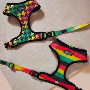 以下が含まれることがあります： 調節可能なストラップと明るくカラフルなデザインの犬用ハーネス2つ。ハーネスはメッシュ素材で、黒と緑のストライプ柄とピンク、イエロー、グリーンの千鳥格子柄が特徴です。ハーネスには「Ruffhaus」のラベルが付いています。