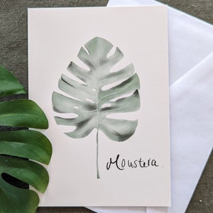 Carta postale Monstera