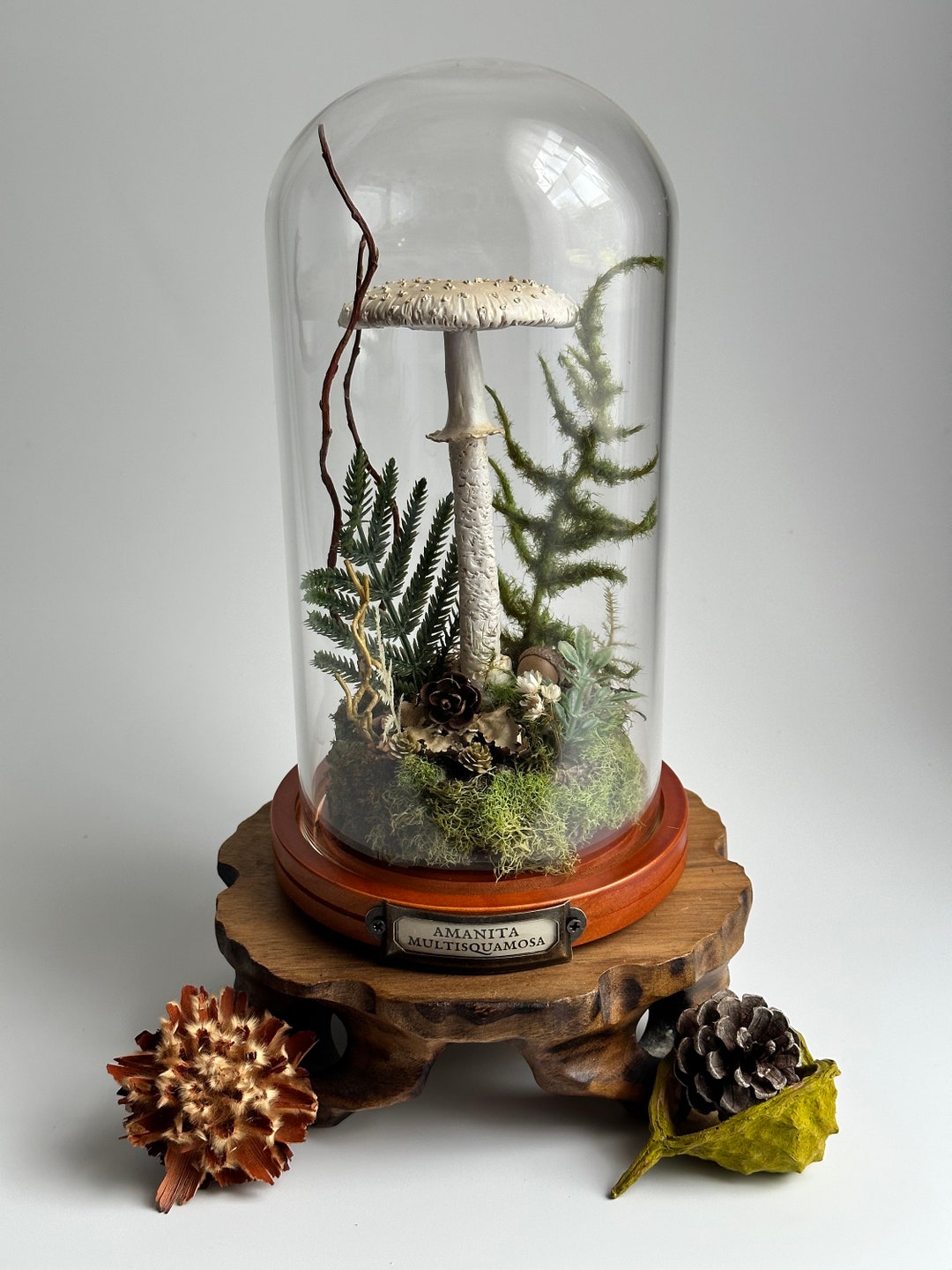 Handmade Mushroom Art in Glass Cloche Featuring a Amanita Etsy