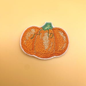 May include: An embroidered pumpkin patch featuring vibrant orange thread for the body and green thread for the stem. The design includes white stitched highlights and a white border edge, creating a textured appearance suitable for fabric application.