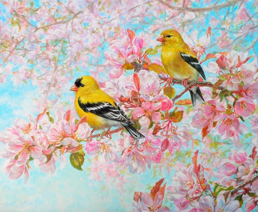 Spring Morning Fabric Panel 36"x44" By Four Seasons For David Textiles 100% Cotton, Gold Finch Panel, Spring Fabric, Bird Panel, Spring Bird