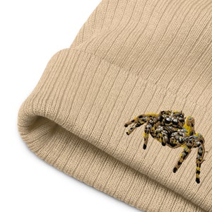 Jumping Spider - Ripped Knitted Hat