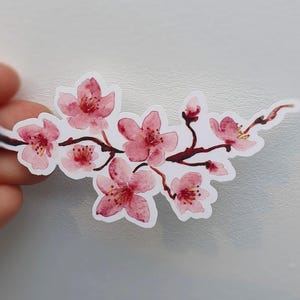 Könnte beinhalten: Ein gestanzter Aufkleber mit einer Aquarellillustration eines Kirschblütenzweigs. Das Design zeigt mehrere rosa Blüten mit zarten Blättern und dunkelbraunen Stielen auf einem weißen Hintergrund mit einem dünnen weißen Rand.