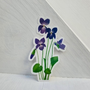 May include: A sticker featuring a cluster of purple and white violets with green leaves and stems.