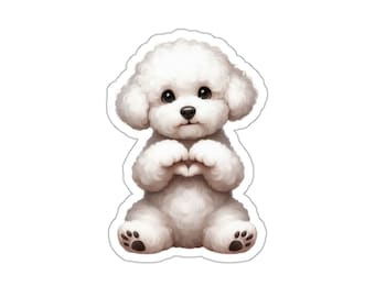 May include: A white fluffy poodle dog sitting with its paws in a heart shape.