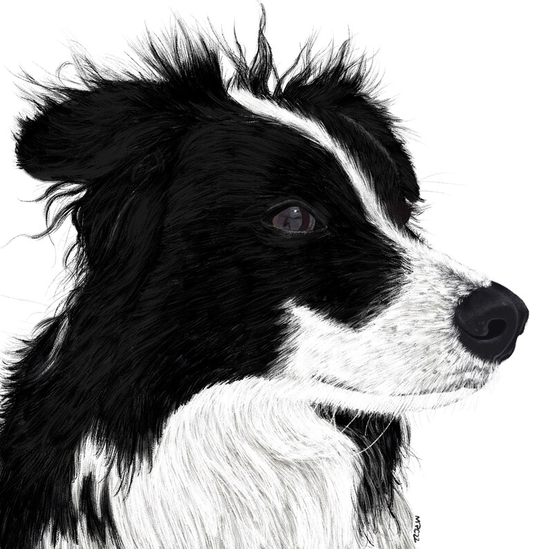 Custom pet illustration, personalized gift, custom gift, pet portrait, pet illustration, dog portrait, illustrated dog, custom illustration image 2