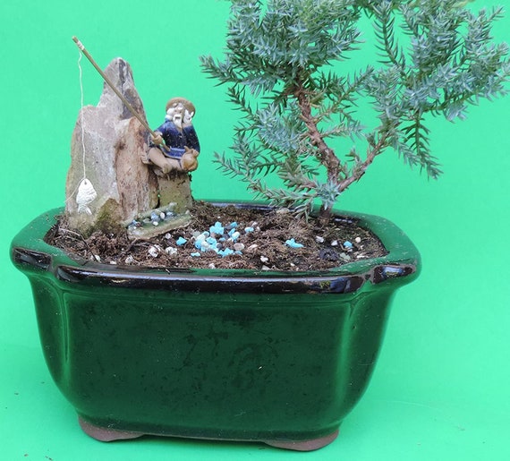 Fisherman With Dangling Fish Juniper Bonsai Tree Etsy