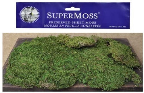 Super Moss Preserved Bright Green Natural Sheet Moss 