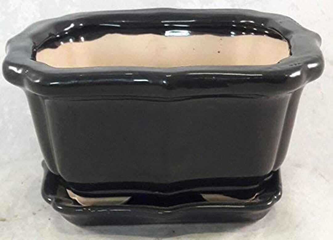 Bonsai Tree Pot Black 6 Inch Bonsai Pots With Trays Etsy