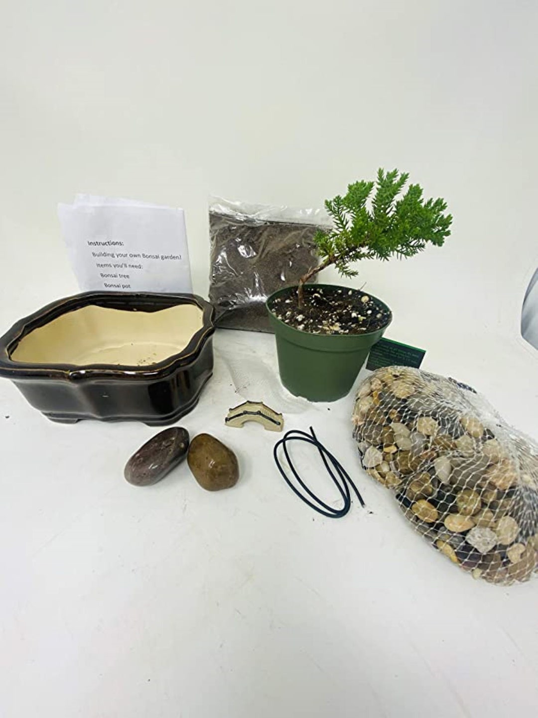 Bonsai Tree Starter Kit, Complete Doityourself Kit With 2 Year Old