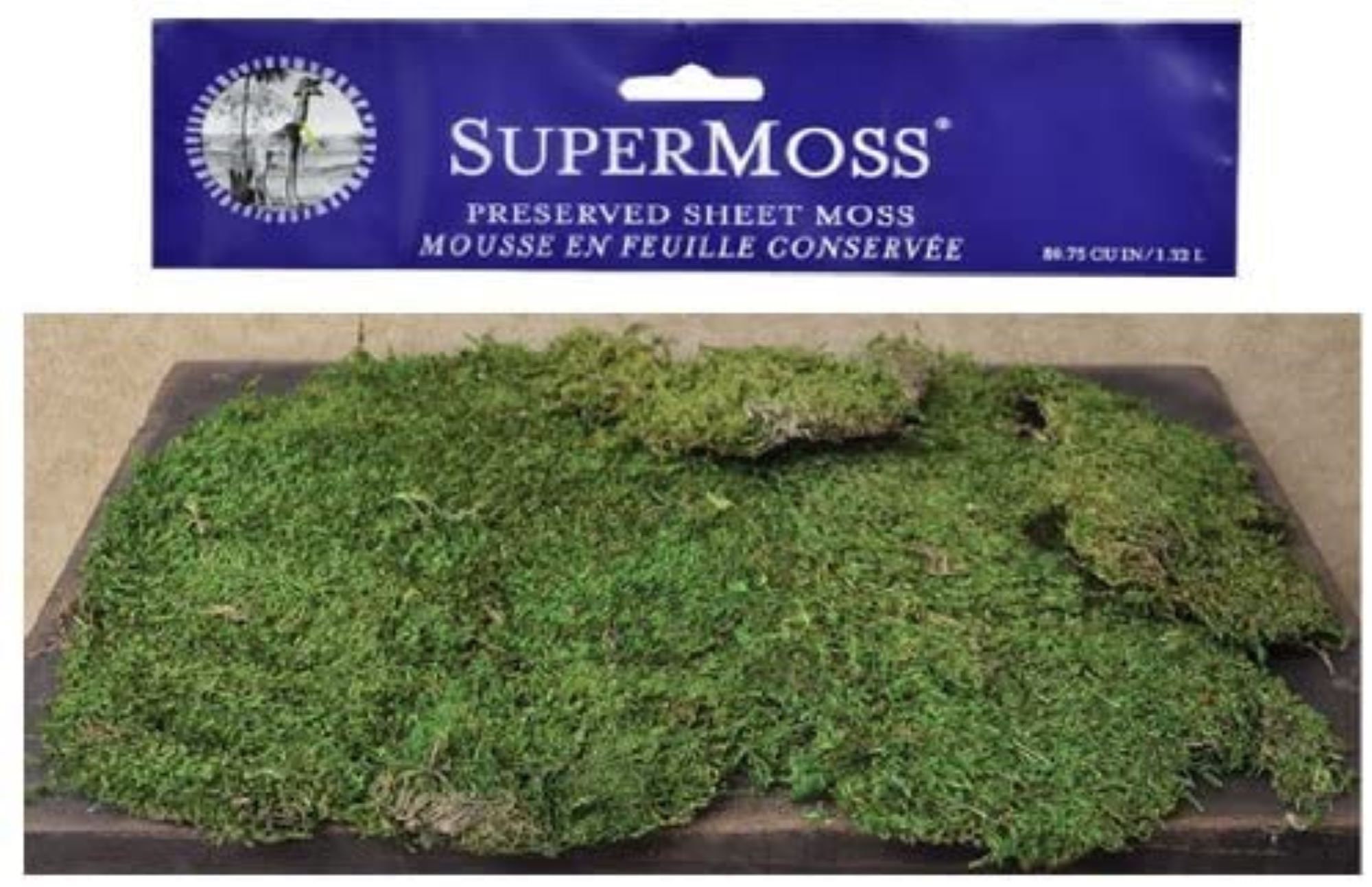BCD Super Moss Preserved Bright Green Natural Sheet Moss Country Primitive Craft Floral Décor