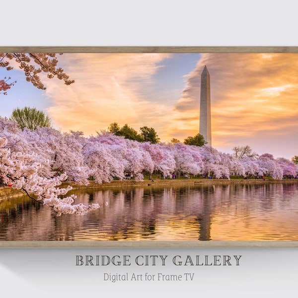 Samsung Frame TV Art, Cherry Blossoms, Cityscape, Landscape, Washington D.C., FRAME TV Art, Instant Digital Download