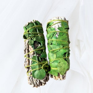 White Sage with Eucalyptus Lemon Smudge Sticks 4” (Single)