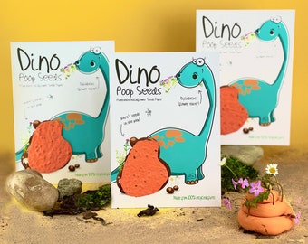 Plastic Free Party Bag Fillers. Eco- Friendly Party Favours. Unique Party Favours. Eco Stocking Fillers. Sustainable Gift. Dino Poop Seeds
