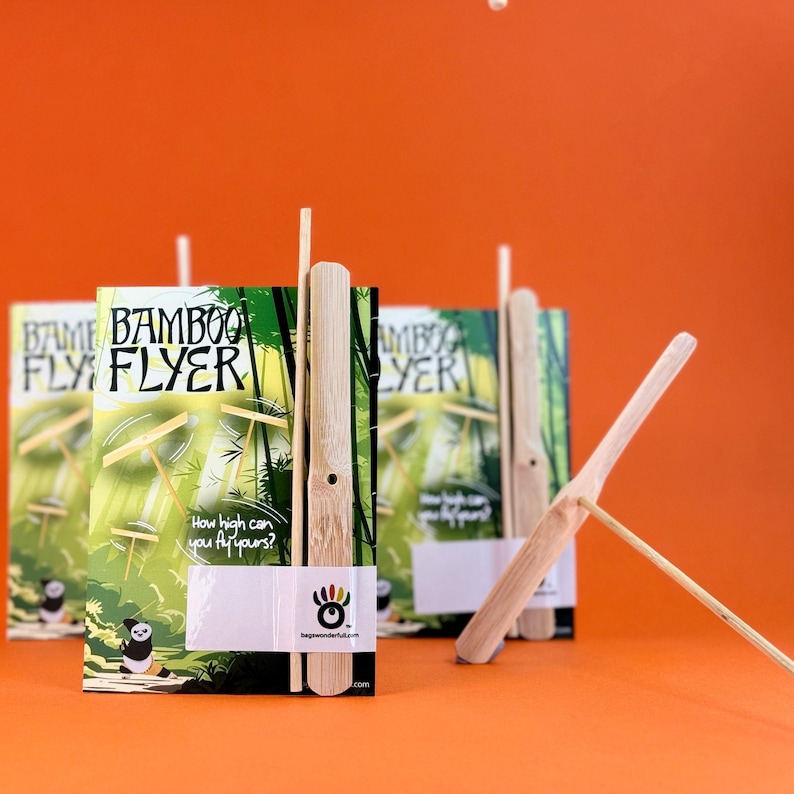 a book titled "Bamboo Flyer" with a bamboo stick attached to it, set against an orange background.