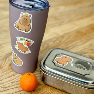 Pack of 50 Capybara Stickers - Party Bag fillers - Vinyl stickers image 2