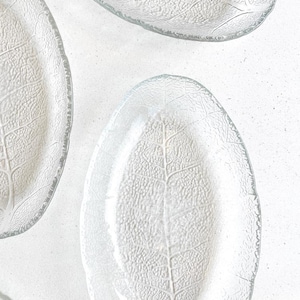 May include: A collection of clear glass plates, each shaped like an oval leaf. The surface of the glass features a detailed, raised texture that mimics the veins and organic patterns found on a natural leaf, creating a translucent and textured appearance.