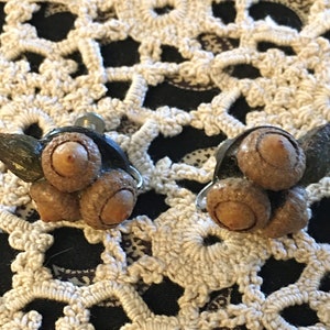 Real Acorn Earrings - Vintage Screw Back - Acorns with Seed Pod