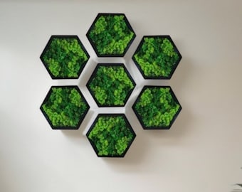 Moss Hexagon Wall Panels , Moss Pattern Wall Art - Real Moss, Zero Maintenance - Eco-Friendly Natural Green Decor, non-yellowing live moss