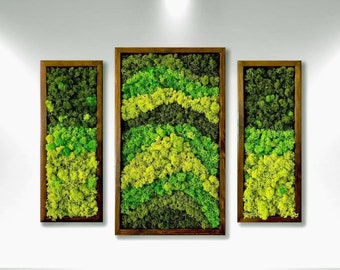 Moss Pattern Wall Art - Real Moss, Zero Maintenance - Eco-Friendly Natural Green Decor, Serene Moss Wall Decor, Preserved Moss, SET OF 3