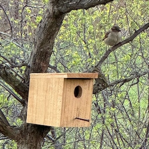 Cedar Birdhouse • Small Birdhouse • Birdhouse Outdoor • Bird House • Bird Nesting Box
