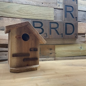 Cedar Birdhouse Modern • Cedar Bluebird House • Cedar Birdhouse • Medium Birdhouse • Bird Nesting Box • Bird House