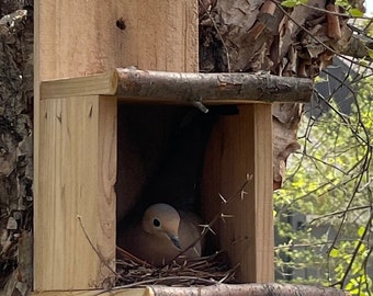 Cedar Bird Nesting Platform Shelter • Cedar Bird Nesting Box • Dove Nesting Box • Dove Birdhouse • Dove Bird House