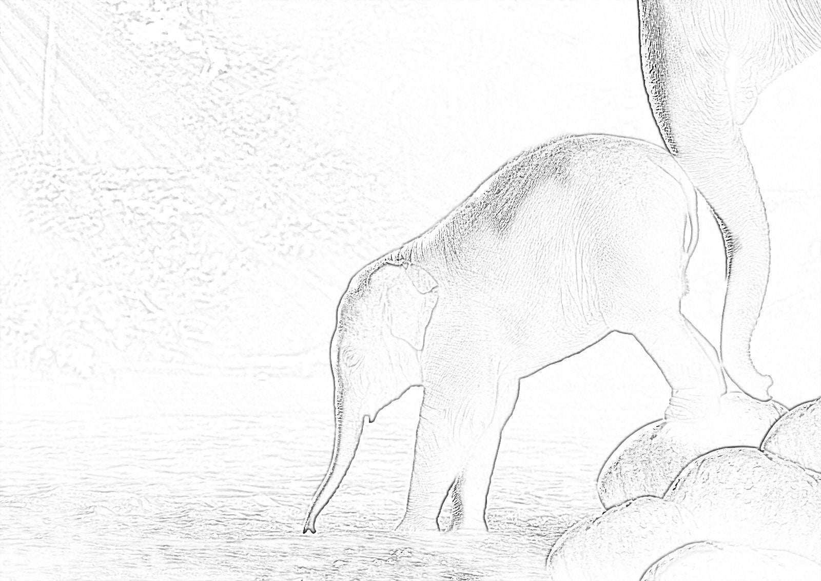 25 Coloring Pages of Animals and More - Etsy