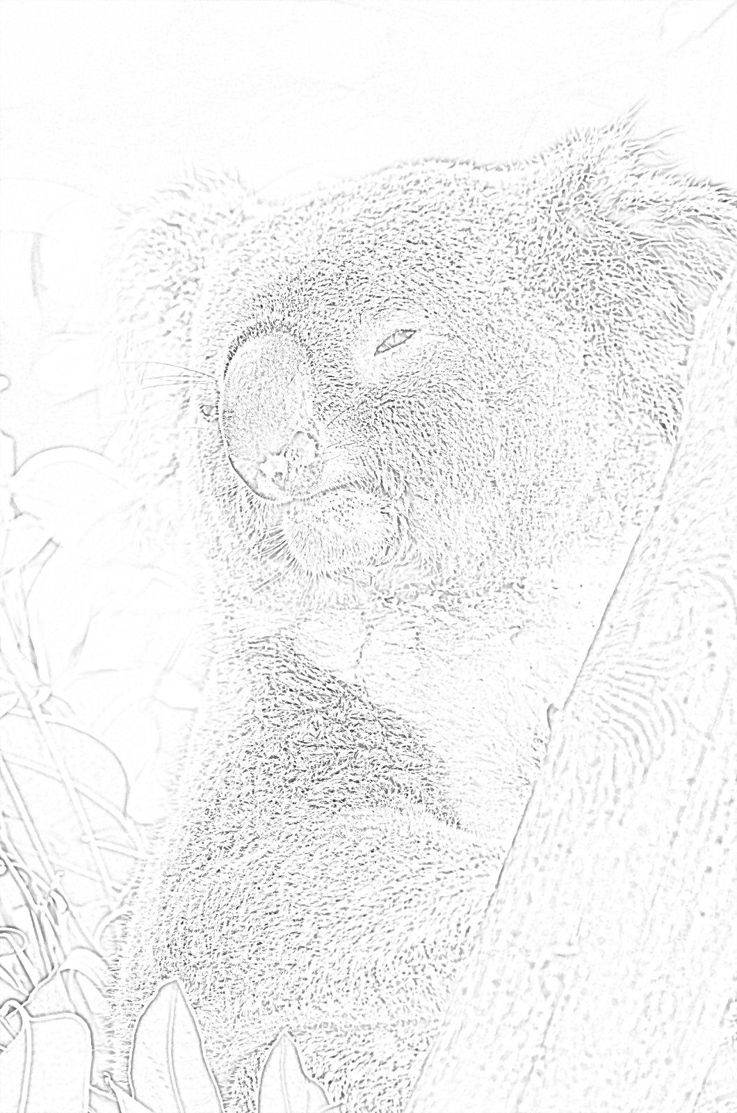 25 Coloring Pages of Animals and More - Etsy
