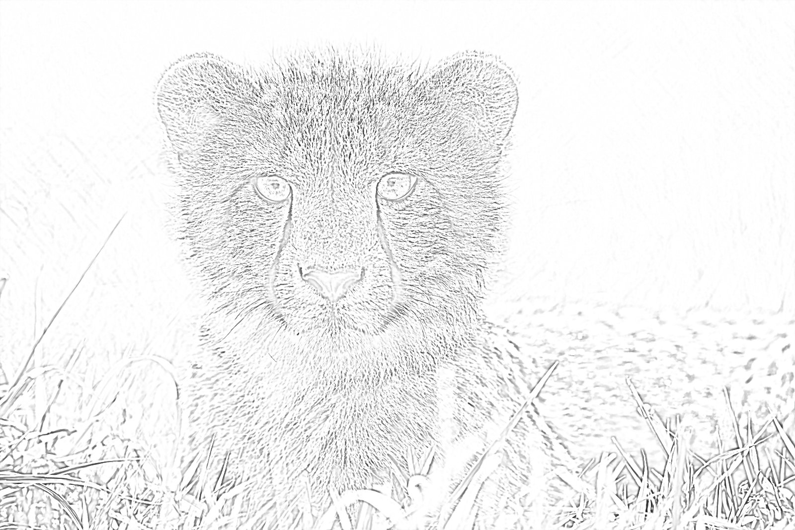 25 Coloring Pages of Animals and More - Etsy