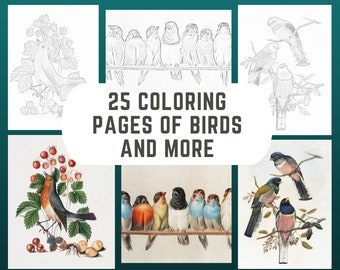 Adult Coloring/Painting of Birds and More
