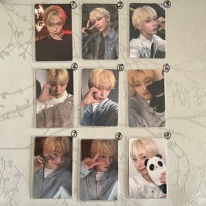 Enhypen | Fotokaart |Heeseung | Vlaamse gaai | Jake | Sungoon | Sunoo | Jungwon | Ni-ki | Cadeau | Albumkaart