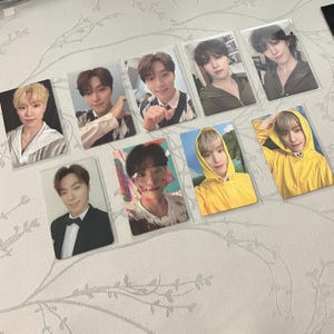 Diciassette / Album / Dino / Set di carte / Regalo ｜carta fotografica