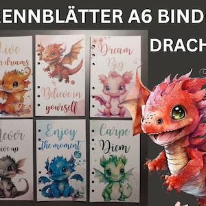 Divider sheet A6 binder dividers with 6 holes dragon
