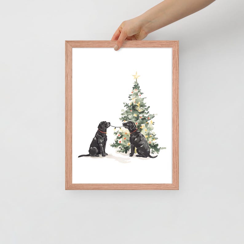 Puede incluir: Dos labradores negros se encuentran frente a un &aacute;rbol de Navidad decorado. El perro de la izquierda est&aacute; tirando de una cadena de luces que est&aacute; unida al &aacute;rbol.