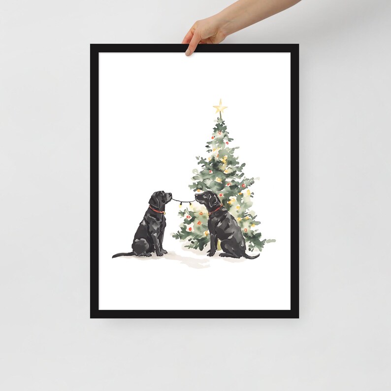 Puede incluir: Dos labradores negros est&aacute;n tirando de una cadena de luces navide&ntilde;as que cuelgan de un &aacute;rbol de Navidad decorado. El &aacute;rbol es verde con luces blancas y una estrella dorada en la cima.