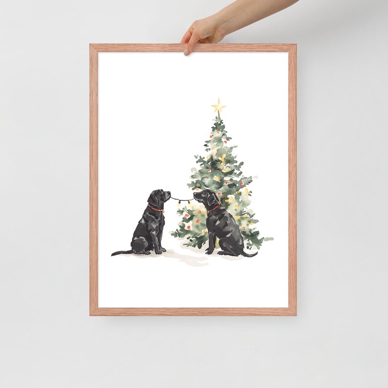 Puede incluir: Dos labradores negros sentados frente a un &aacute;rbol de Navidad decorado. Los perros tiran de una cadena de luces navide&ntilde;as.
