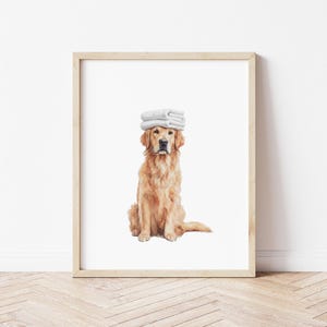 May include: A framed print featuring a golden retriever with a stack of folded white towels on its head. The dog is sitting, with a light brown wooden frame and a white background.