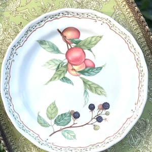Vintage Noritake Casual Gourmet- Gourmet Harvest Dinner Plate/Plates with fruit/Peach Plates/Blackberry Plates-Set of 2 or set of 4
