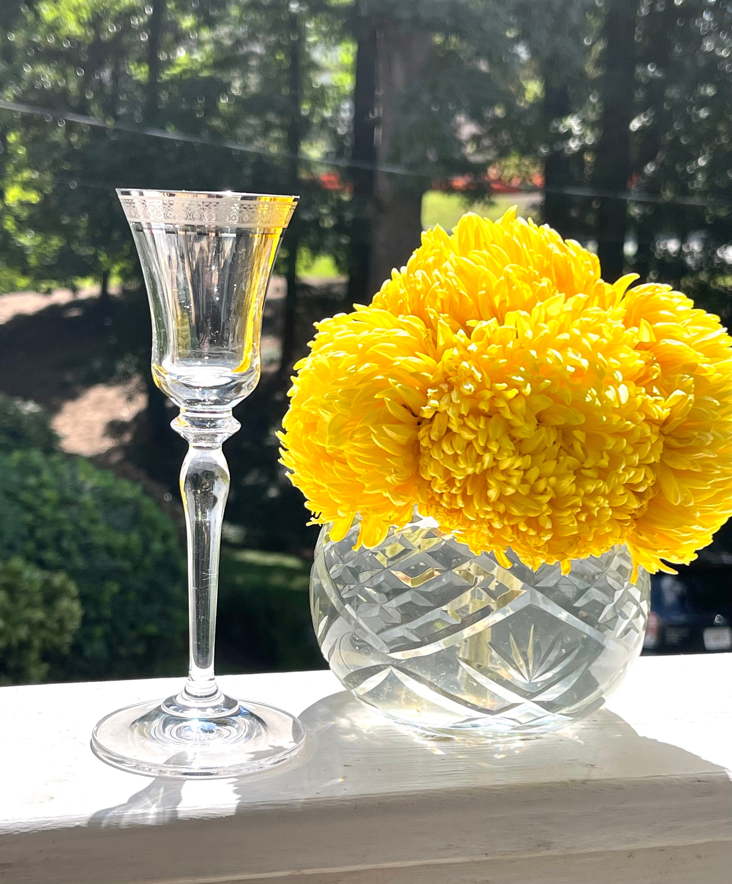 Mikasa Palatial Platinum Cordial Glasses Made 20002010 Set of Etsy