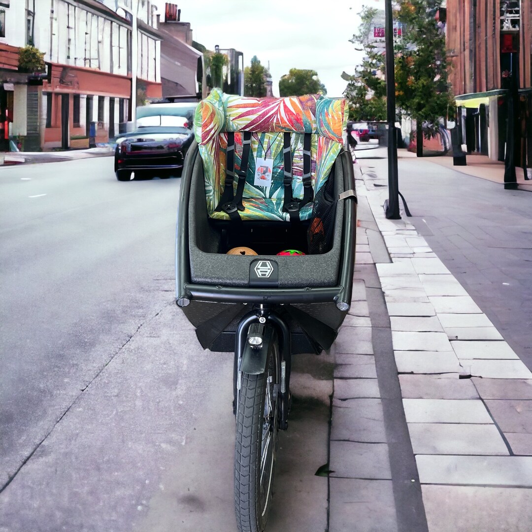Cargo Bike Cushion Pillow Urban Arrow Cargo Bike Pillow . Urban Arrow