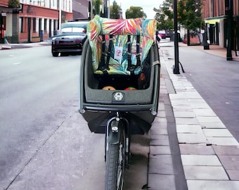 moin minis hinteres Gepäcknetz für Urban Arrow Family Lastenrad