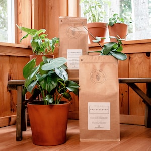 Philodendron Potting Mix