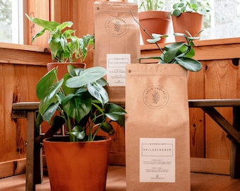 Philodendron Potting Mix